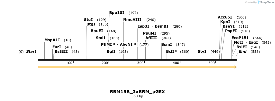 259876_map