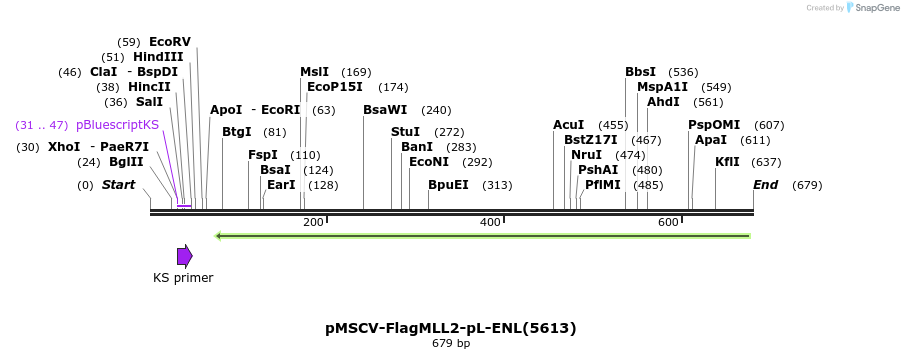 25988_map