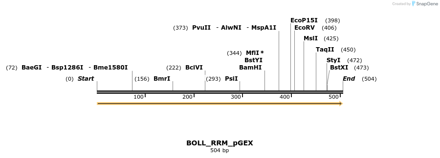 259886_map