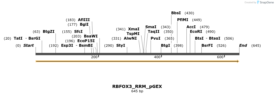 259888_map