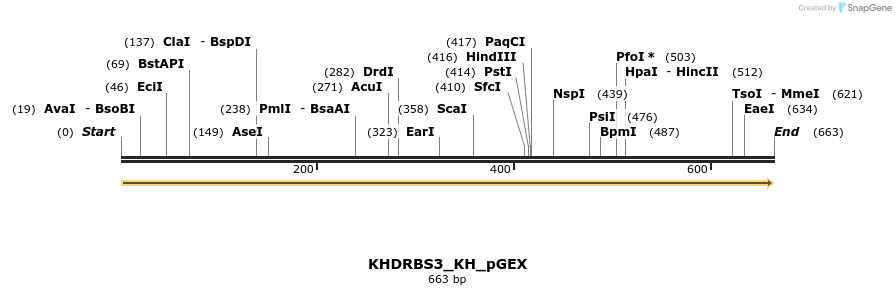259892_map