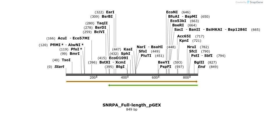 259894_map