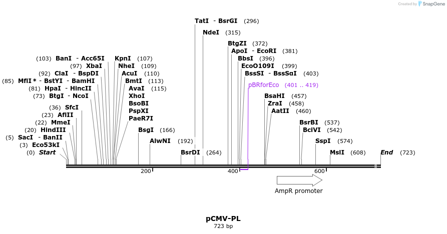 25990_map