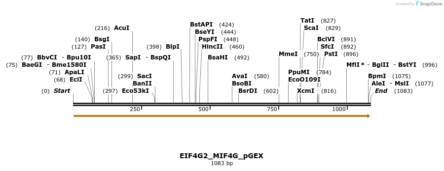 259902_map