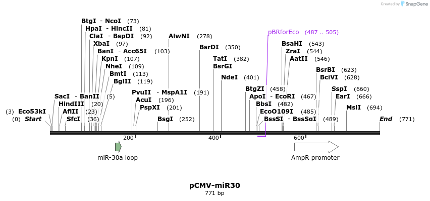 25991_map