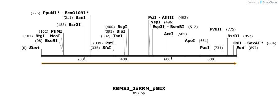 259910_map