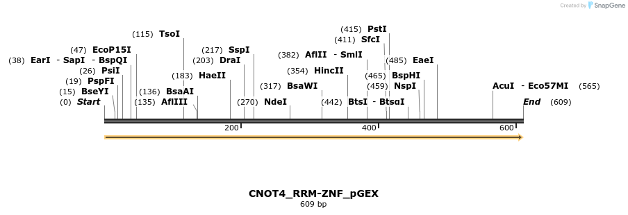 259918_map