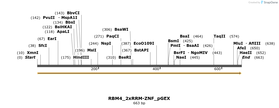 259934_map