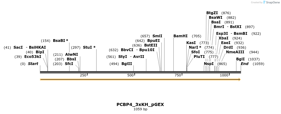 259938_map