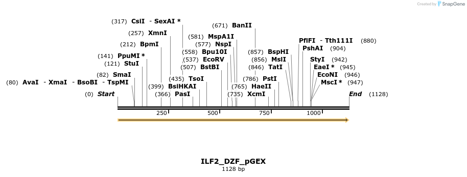 259950_map