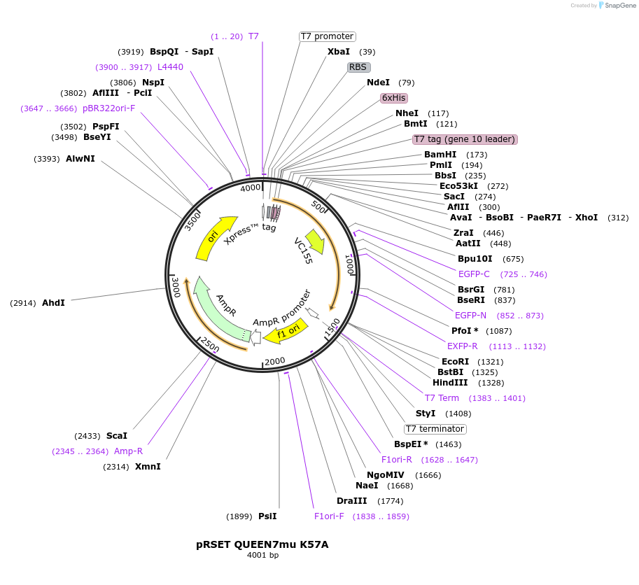 259965_map