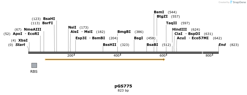 25998_map