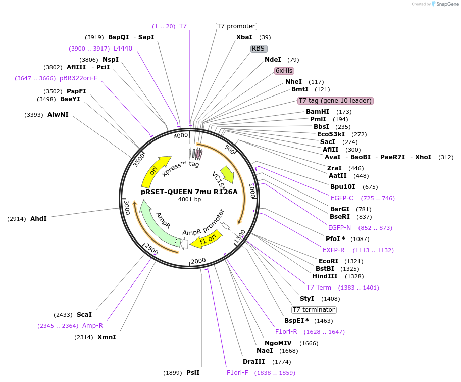260018_map