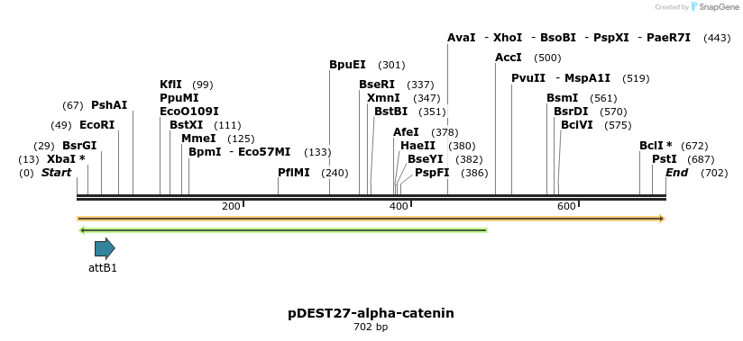 26004_map