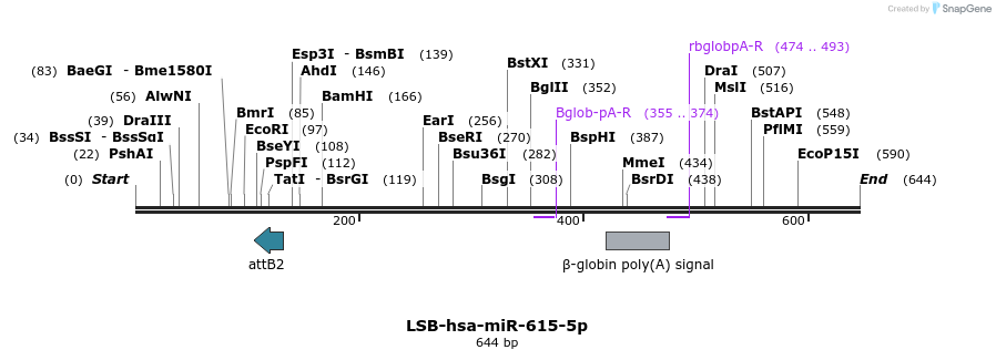 260054_map