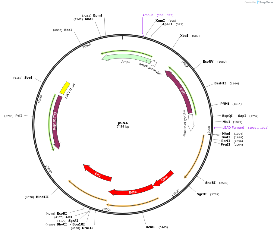 260071_map