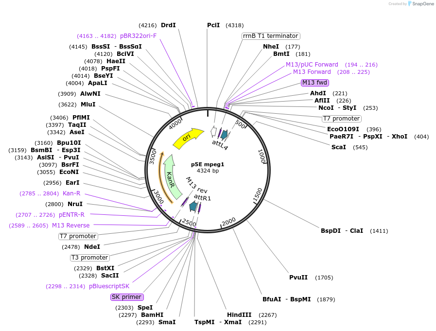 260122_map