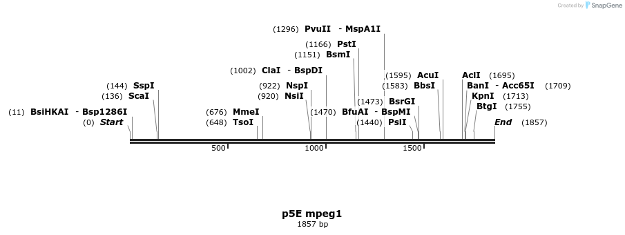 260123_map