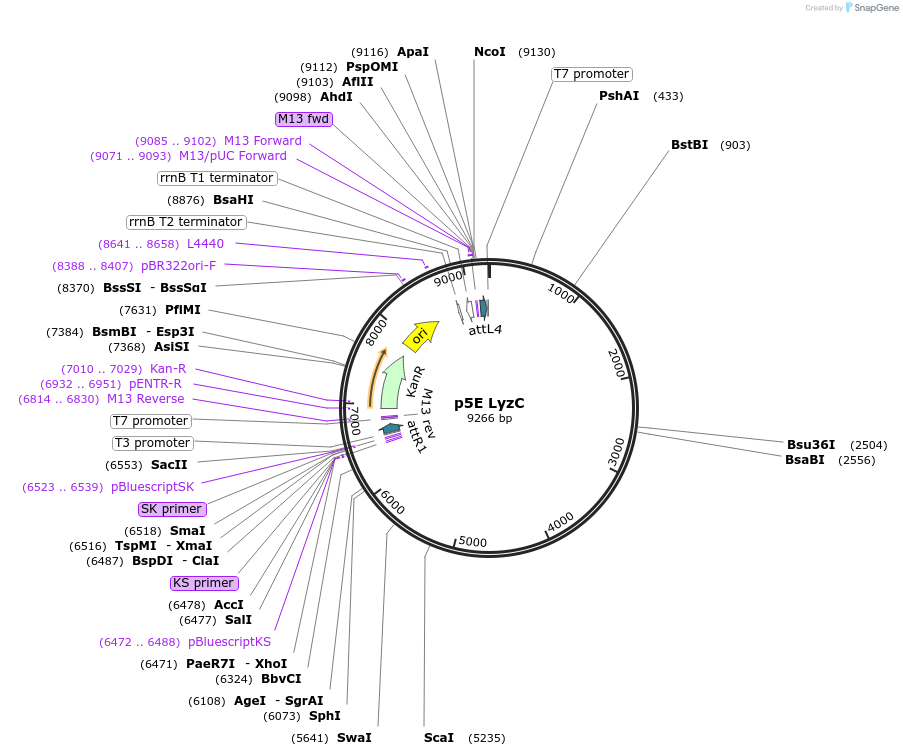260124_map