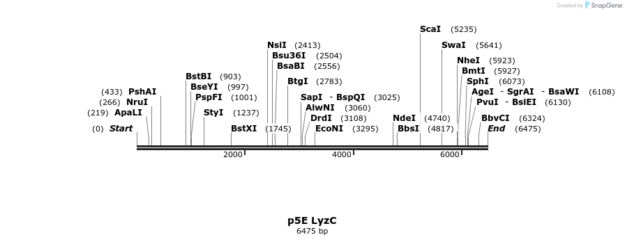 260125_map