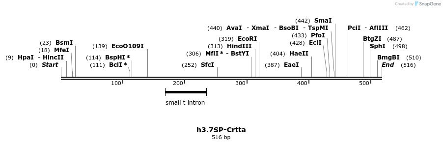 26013_map