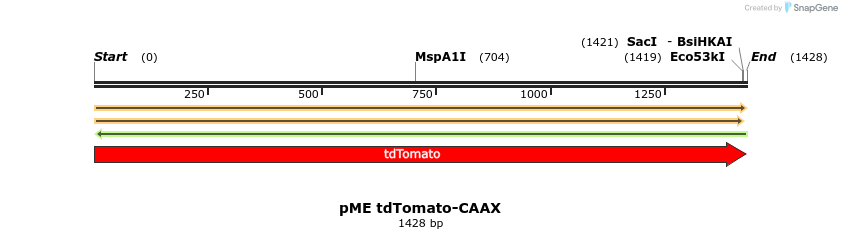 260131_map