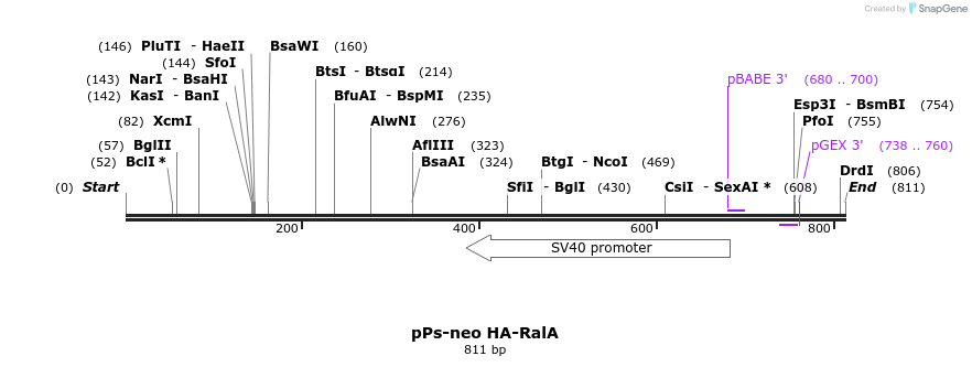 26014_map