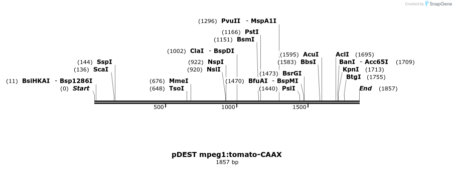 260153_map