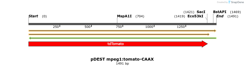 260154_map