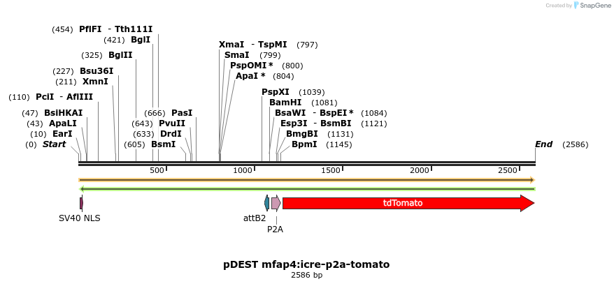260157_map