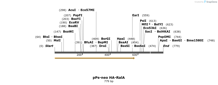 26016_map