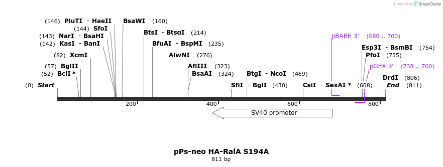 26017_map