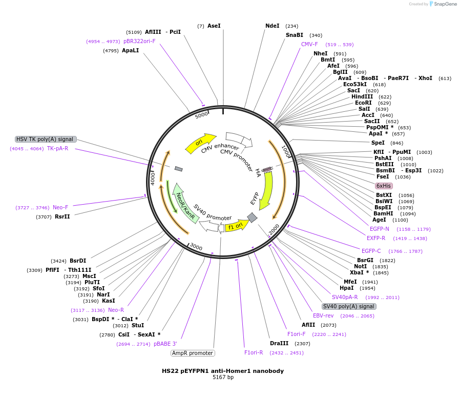 260175_map