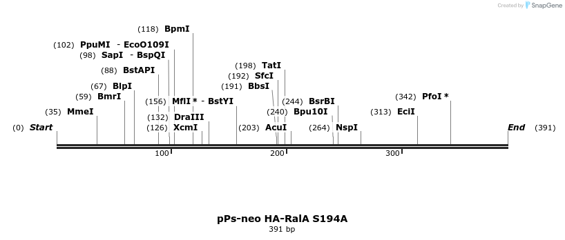 26018_map