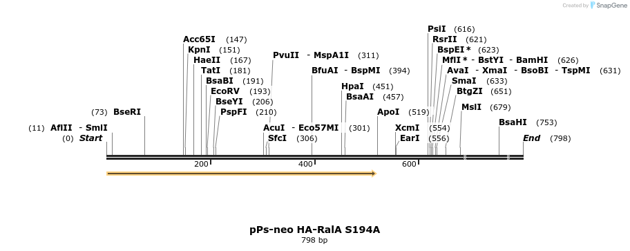 26019_map