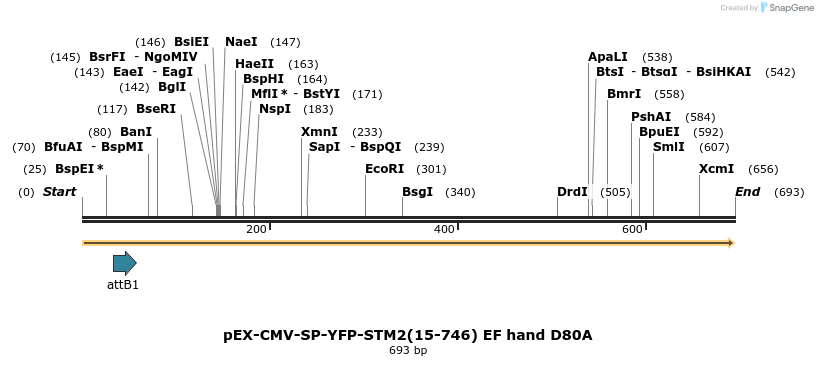 26022_map