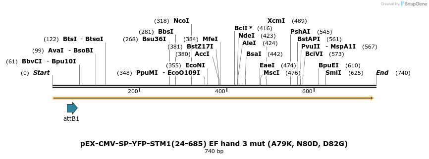 26023_map