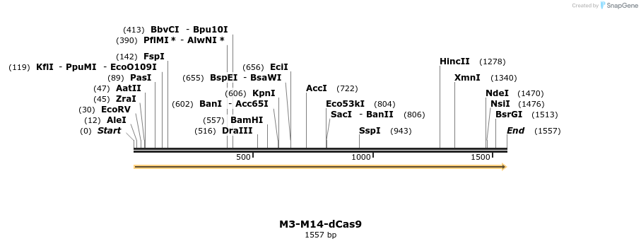 260231_map