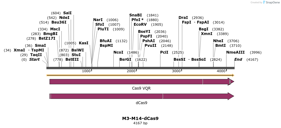 260232_map