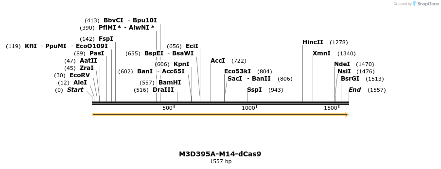 260233_map