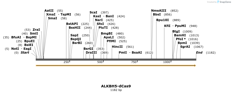 260235_map