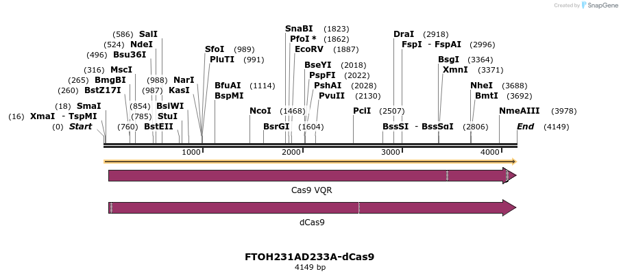 260242_map