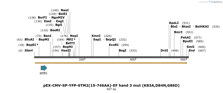 26025_map
