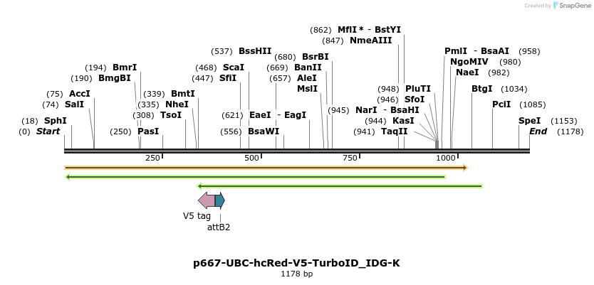 260266_map