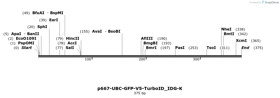 260275_map