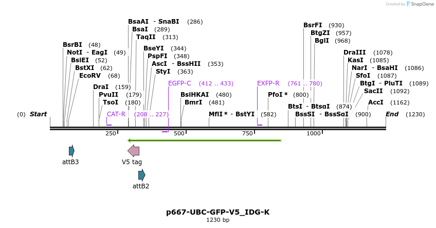 260278_map