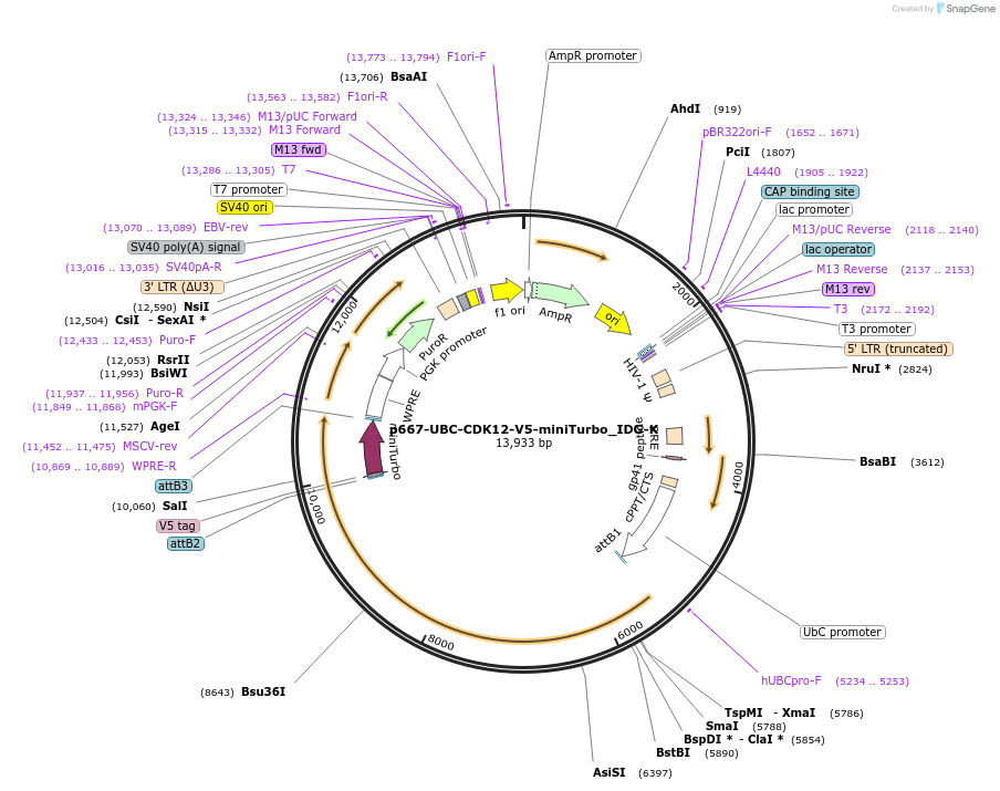 260279_map