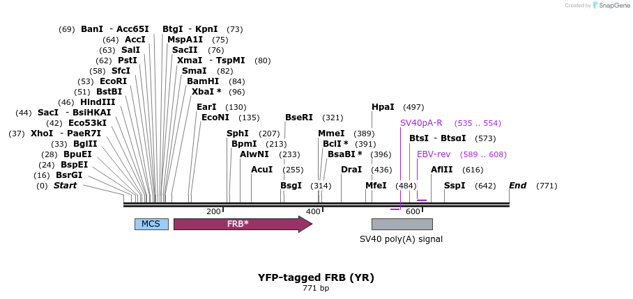 26028_map