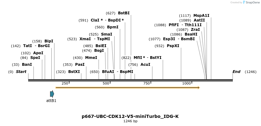 260280_map