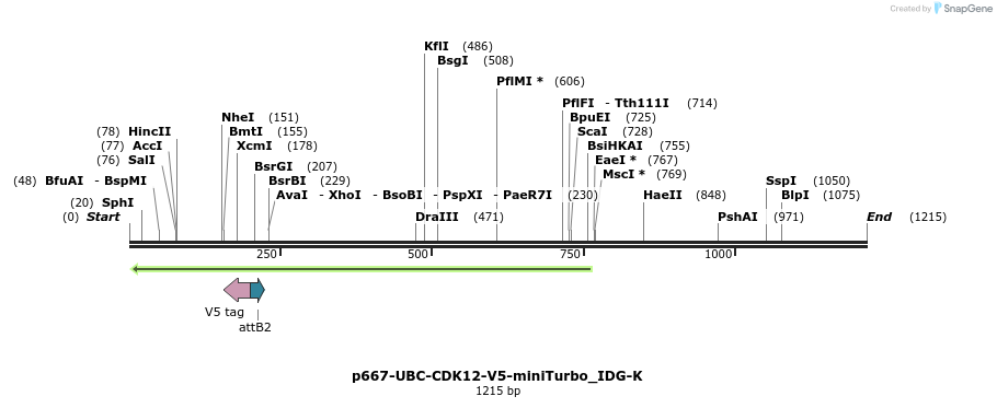260281_map